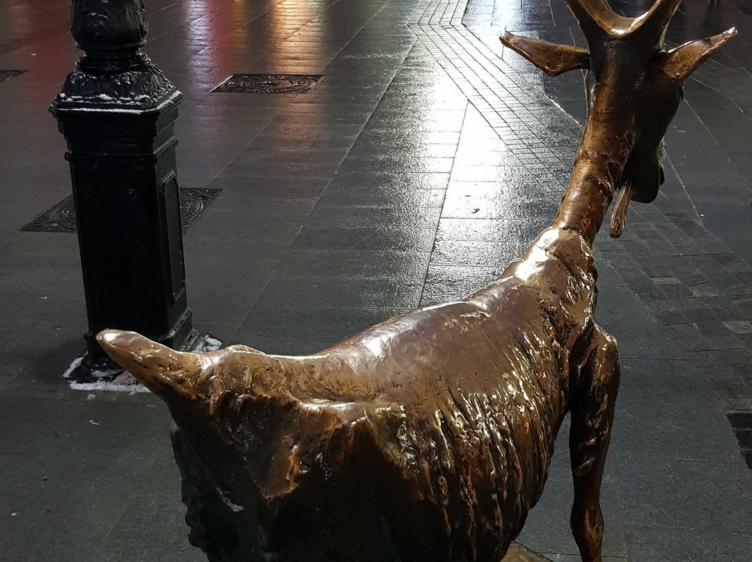 Sculpture the Funny Goat景点图片