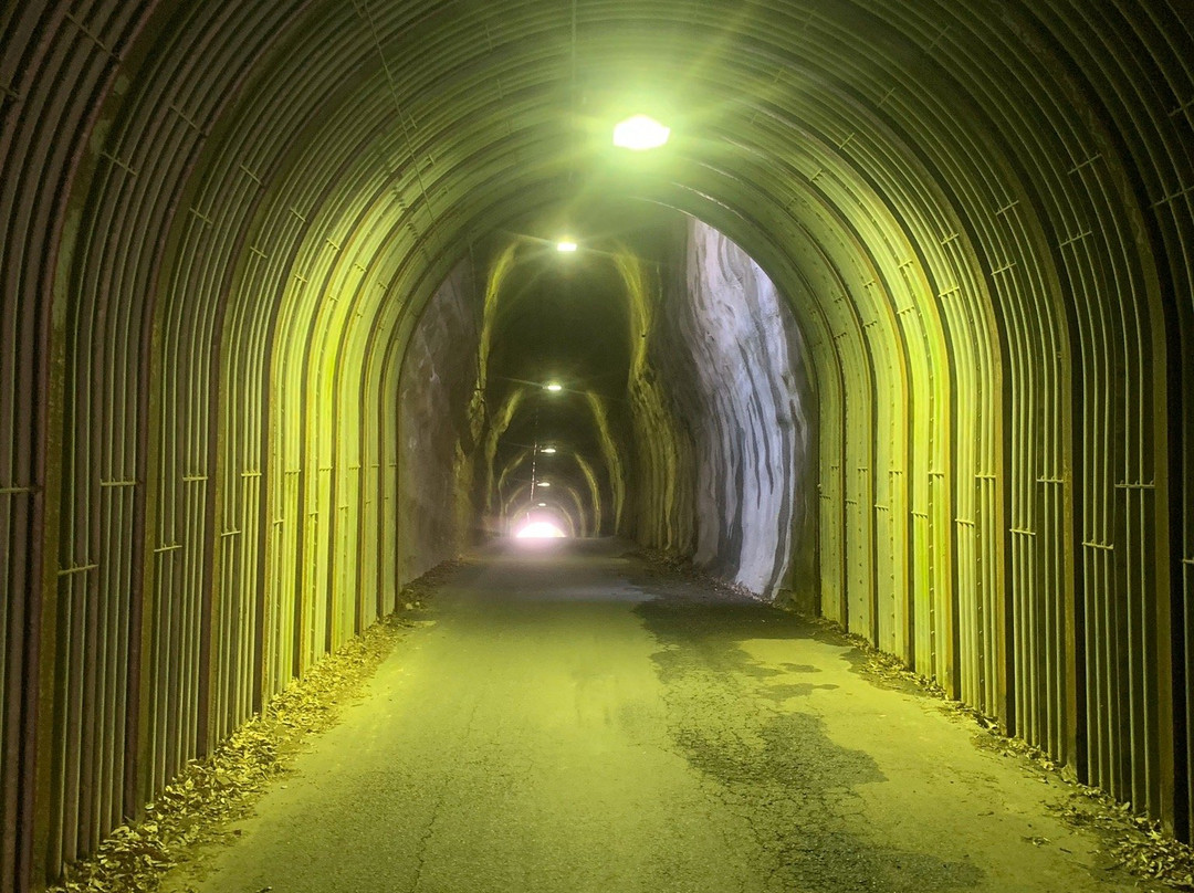 Kyoei / Mukoyama Tunnel-大多喜町必去景点