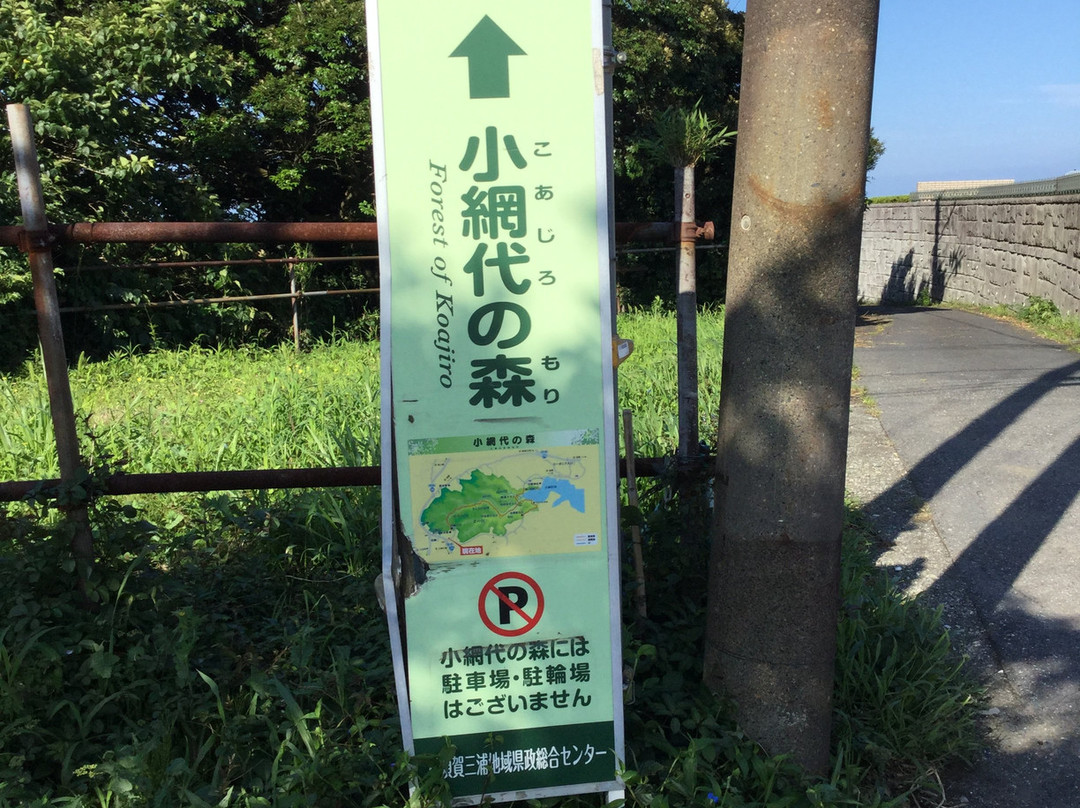 Koajiro Forest-三浦市必去景点