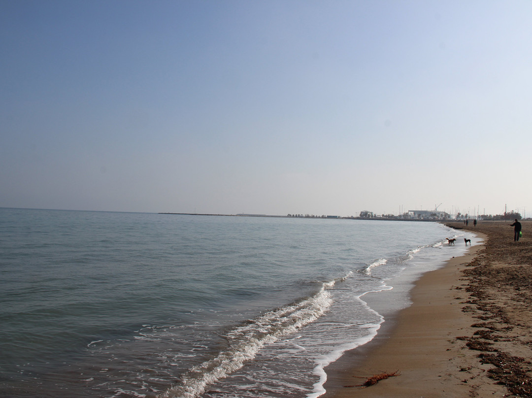Platja Punta del Raset景点图片