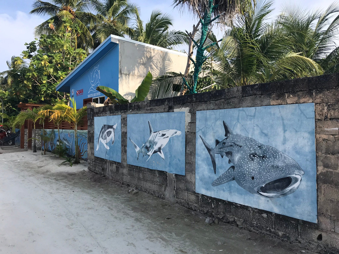 Maldives School of Yoga-Naifaru必去景点