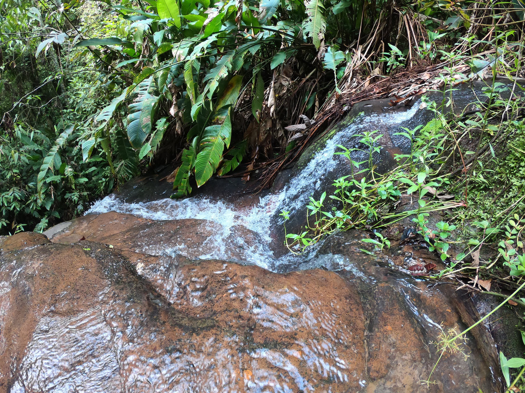 Eco Hotel Arraial do Ouro主图