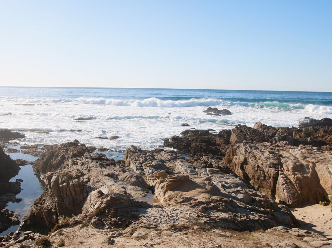 Pacific Grove Shoreline Parkway Marine Refuge景点图片