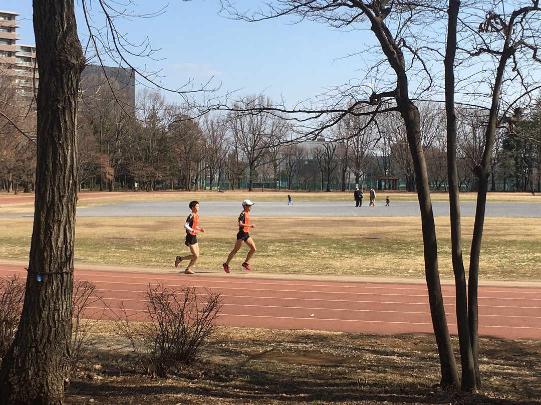 Higashiyamatominami Park景点图片