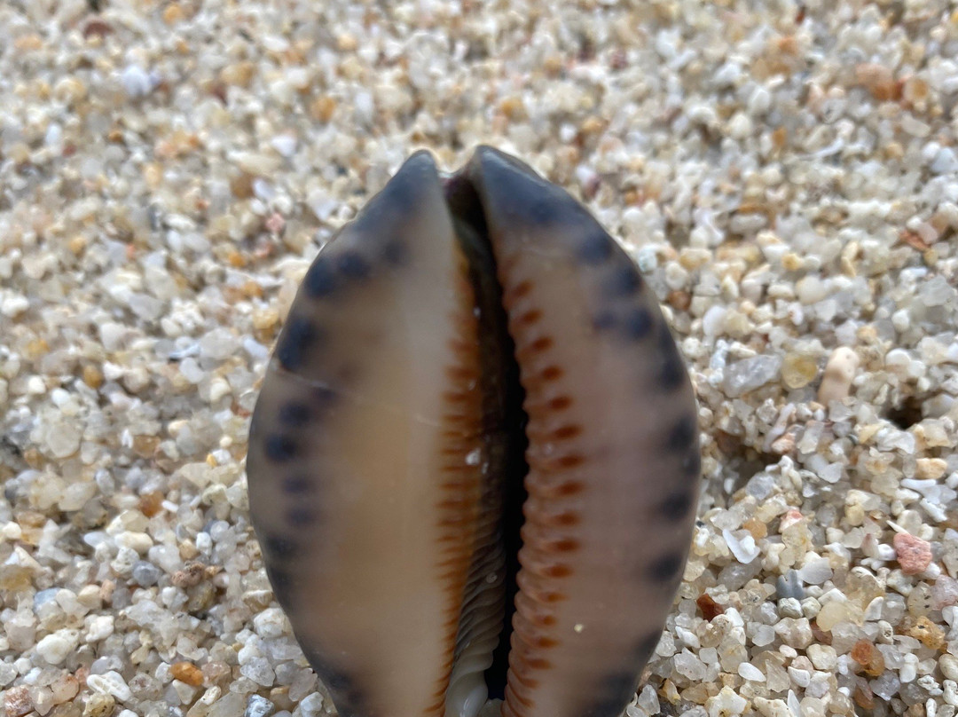 兰穆塔-苏梅岛必去景点