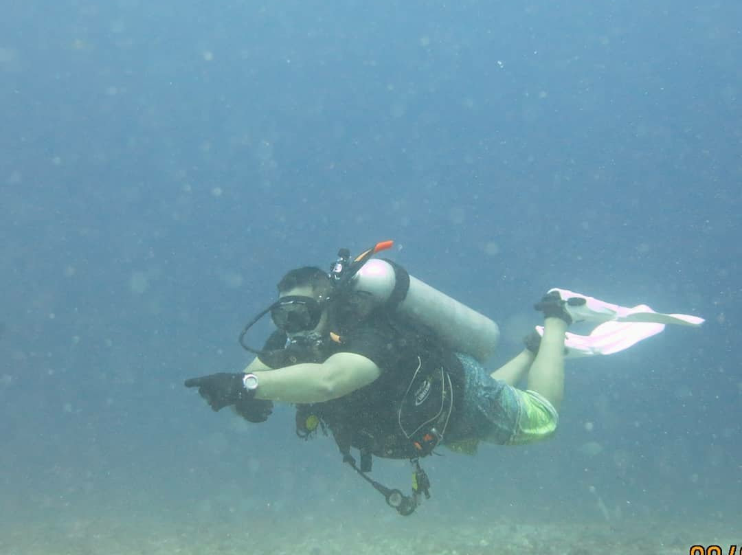 Panama Dive Adventure景点图片