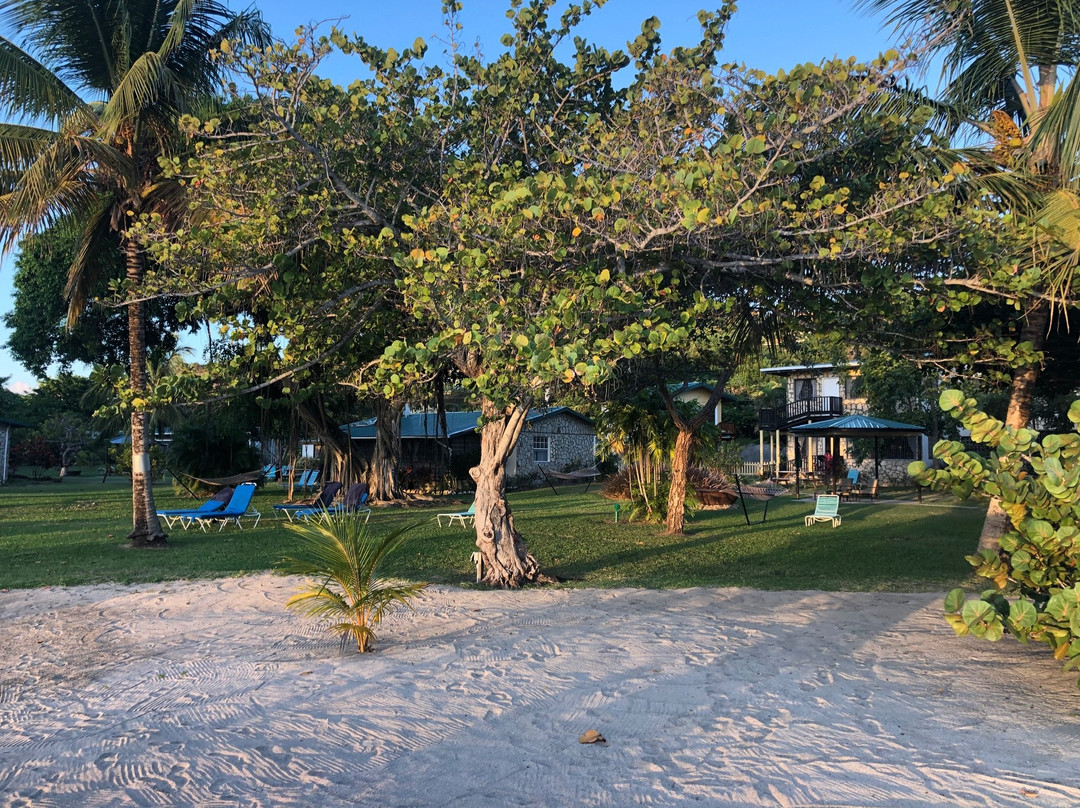 艾平兰斯小屋主图