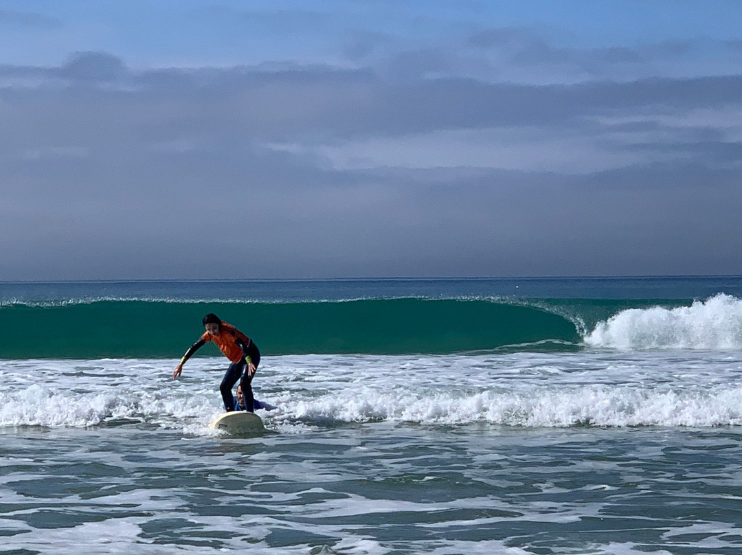 Surf in Comporta景点图片
