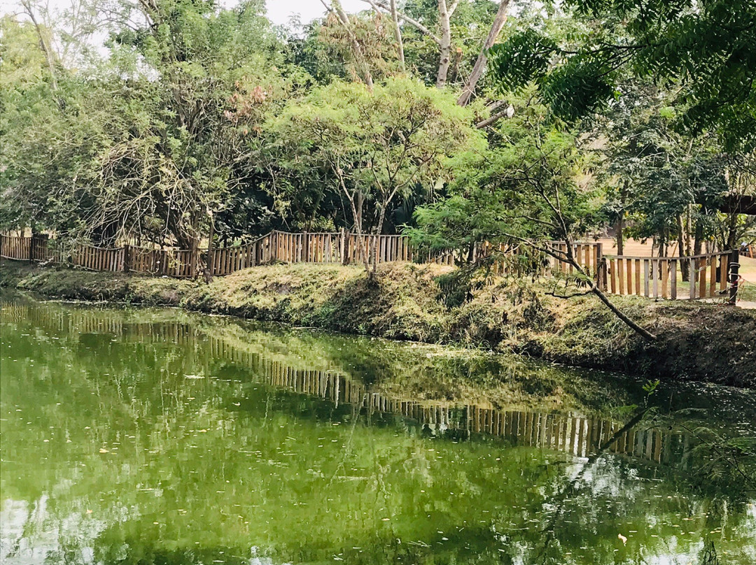 Legon Botanical Gardens-Legon必去景点