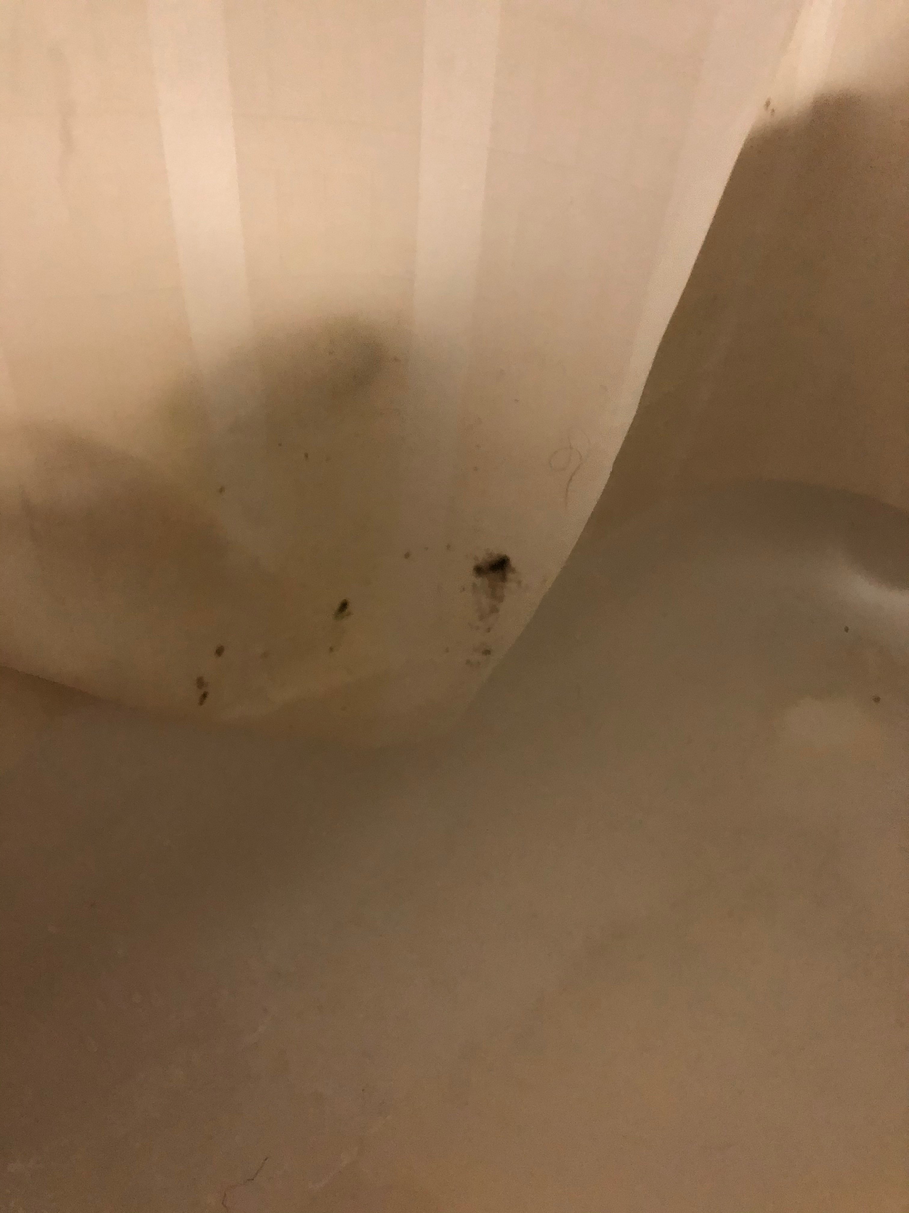 华美达港威酒店-portrait