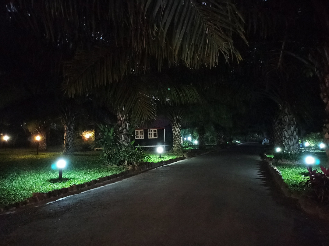 Palm Era Resorts主图
