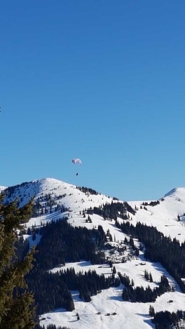 Alpbach Apartments主图