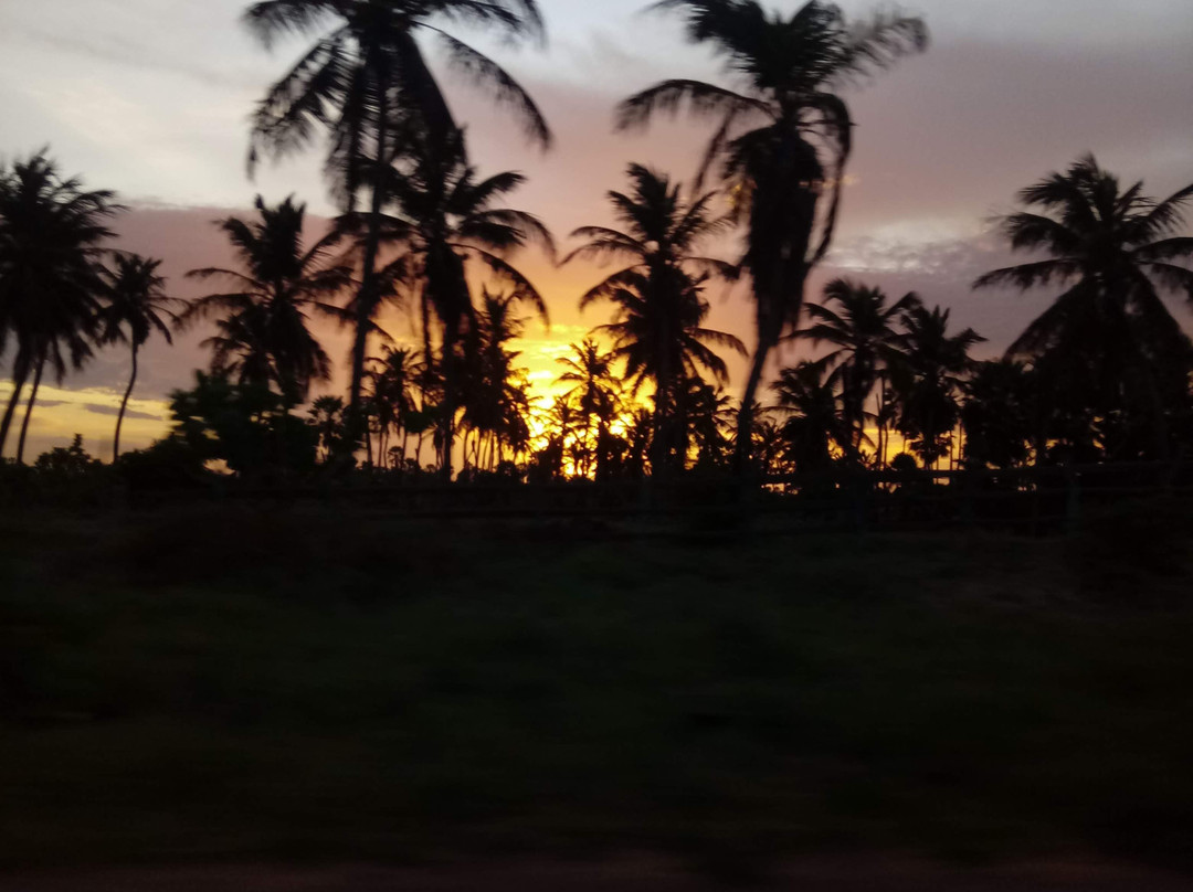 Praia da Redonda-Icapui必去景点