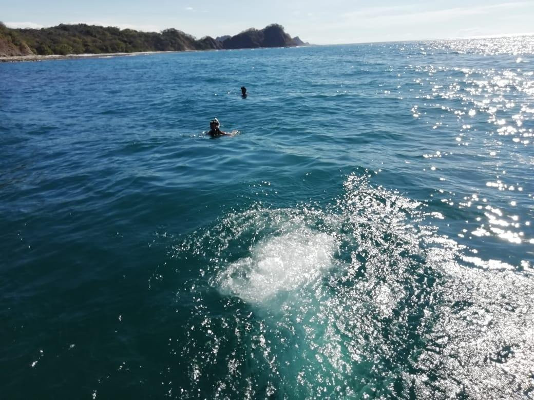 Guanacaste Experience景点图片