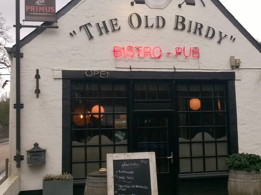 The Old Birdy