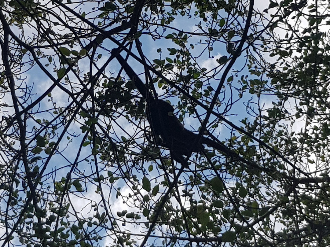 Seagull Cove Resort主图