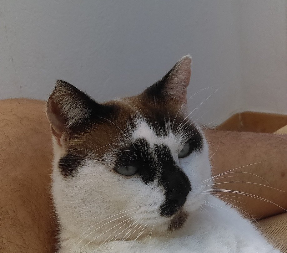 海鸥洋房酒店主图