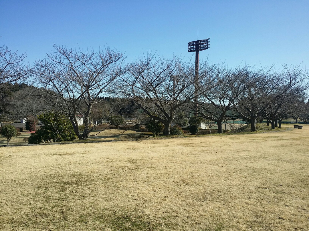 Amicho General Sports Park景点图片
