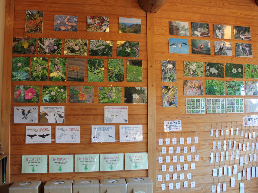 Kitayamazaki Visitors Center-田野畑村必去景点