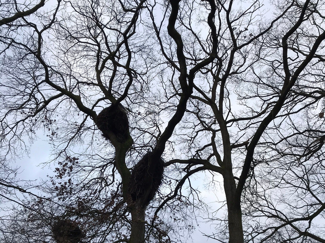 NaturZoo Rheine景点图片