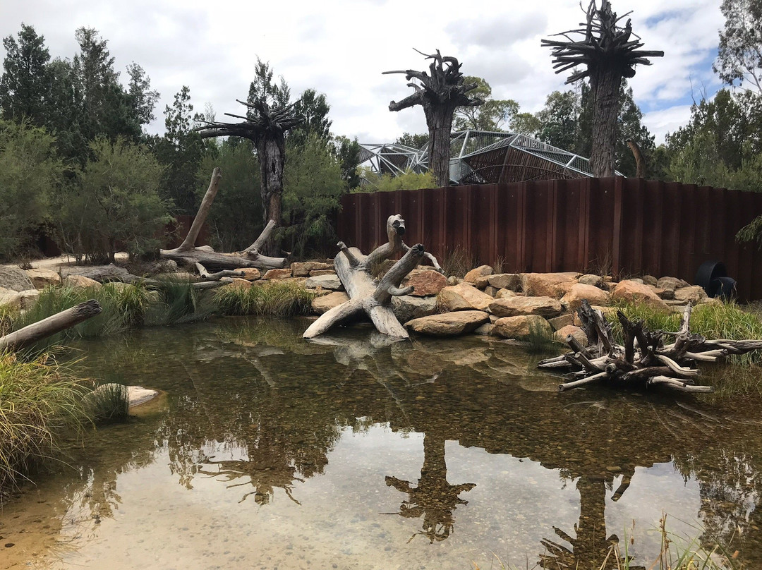 Rio Tinto Naturescape Kings Park-珀斯必去景点