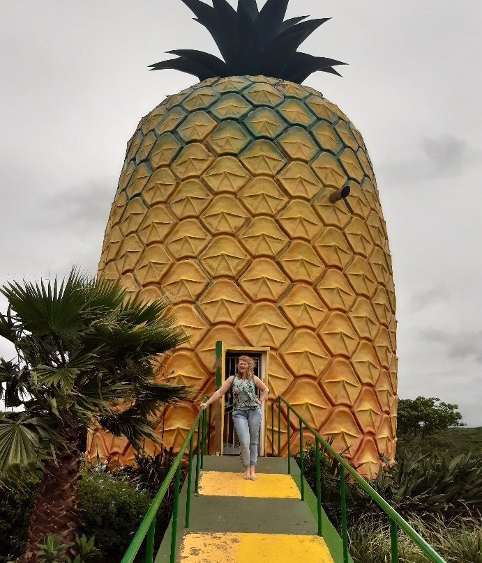The Big Pineapple景点图片