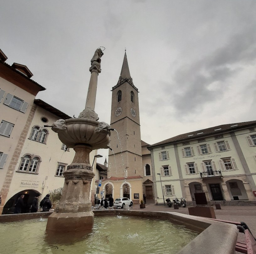 Chiesa Parrocchiale di S. Maria Assunta景点图片