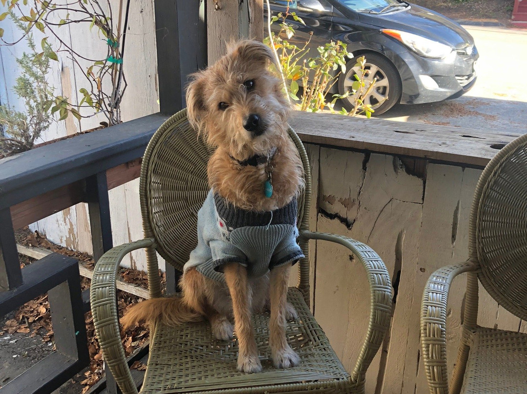 Blue Door Winery-朱利安必去景点