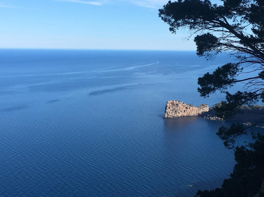 Mallorca Walks.com-索列尔港必去景点