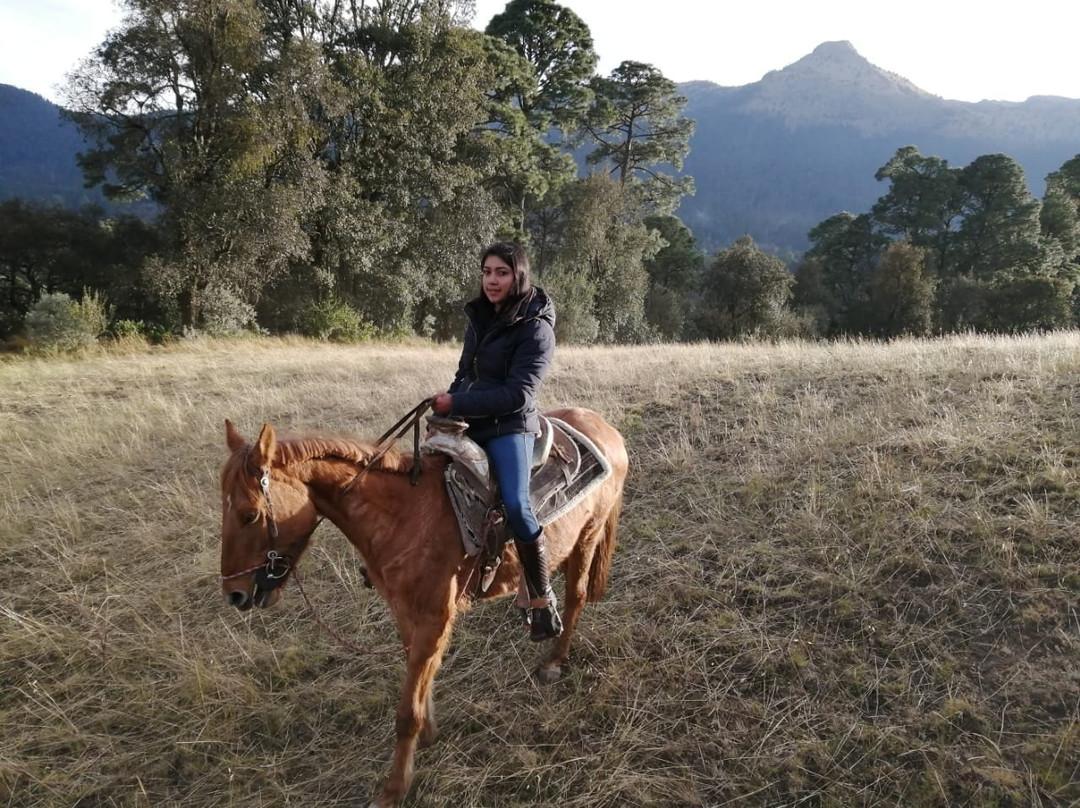 Rancho Didáctico La Poza Del Indio-墨西哥城必去景点