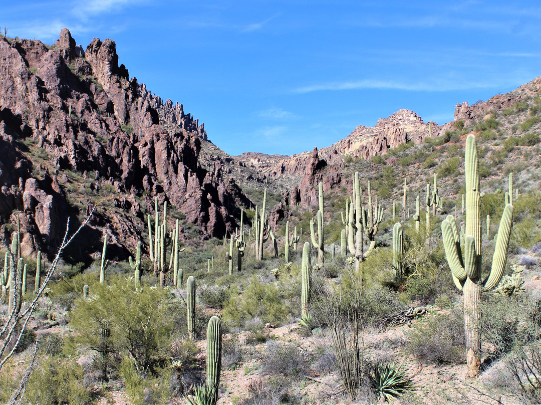 Peralta Canyon-Gold Canyon必去景点