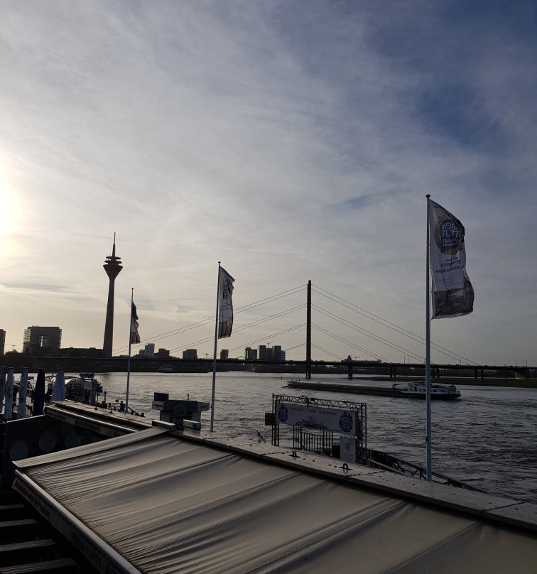 River Rhine景点图片