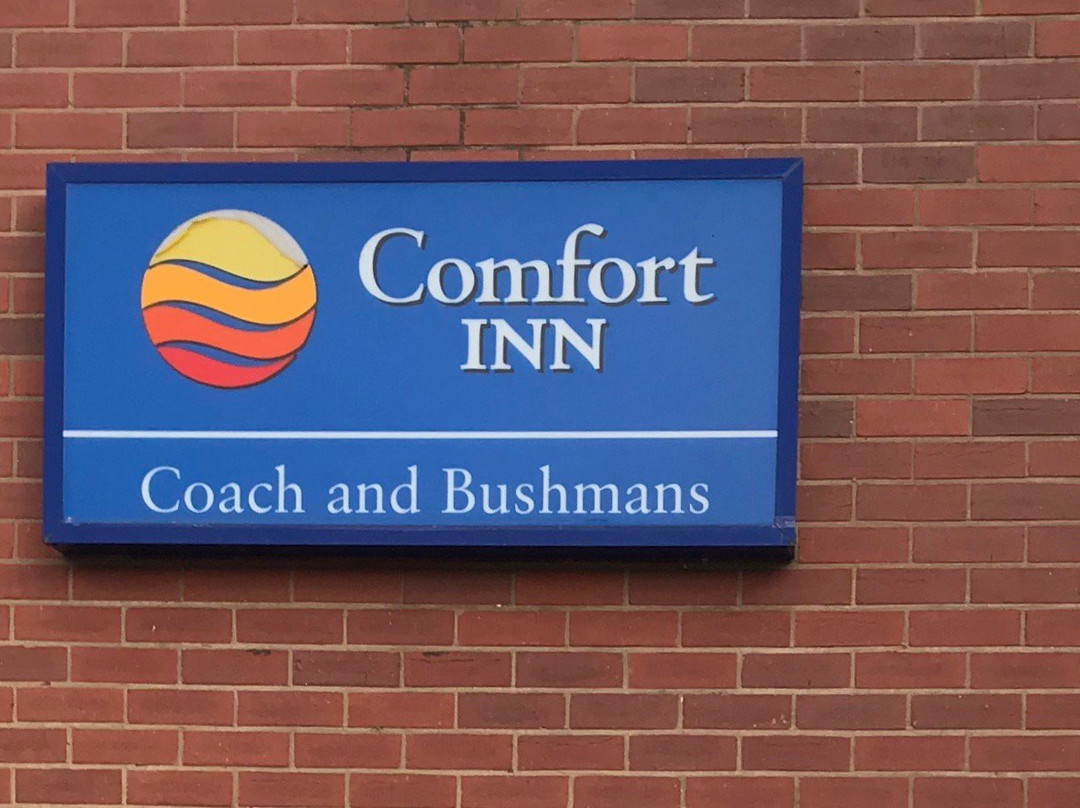 Comfort Inn Coach & Bushmans主图