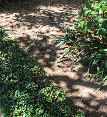 Royal Thai Villa Phuket主图