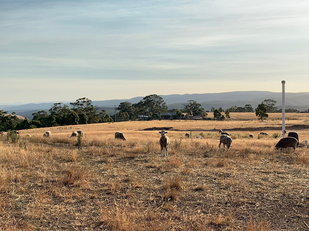 Rooks Edge Bed & Breakfast主图