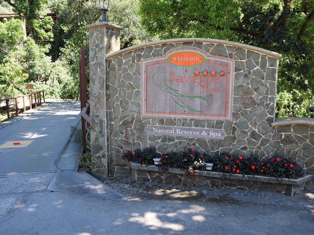 Savegre Hotel Natural Reserve & Spa主图