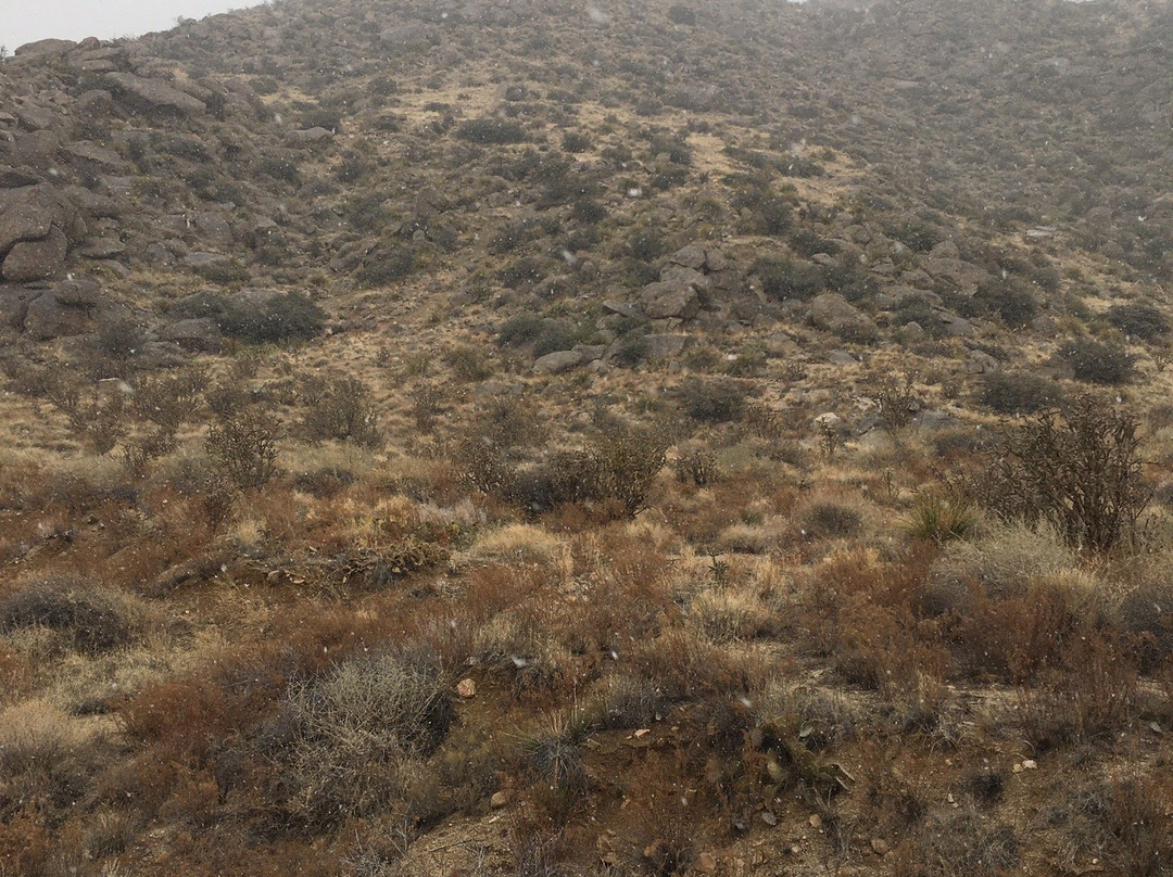 Piedra Lisa Trail-Tijeras必去景点