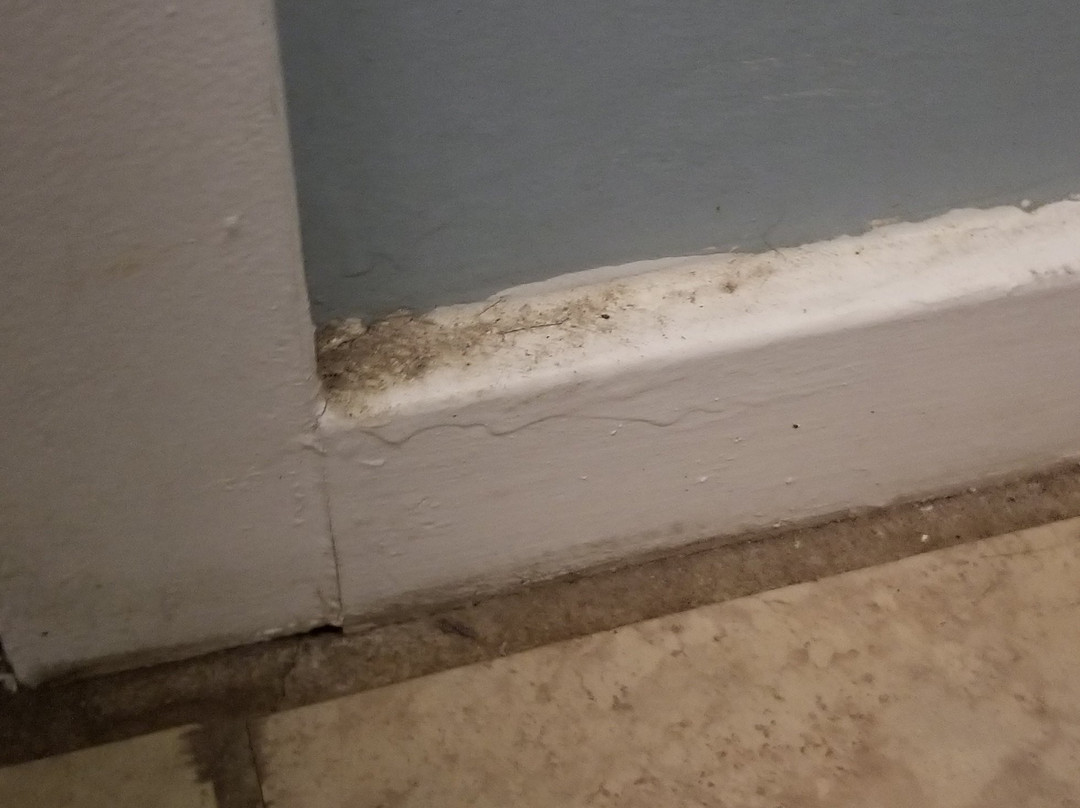 Winton Inn & Suites主图