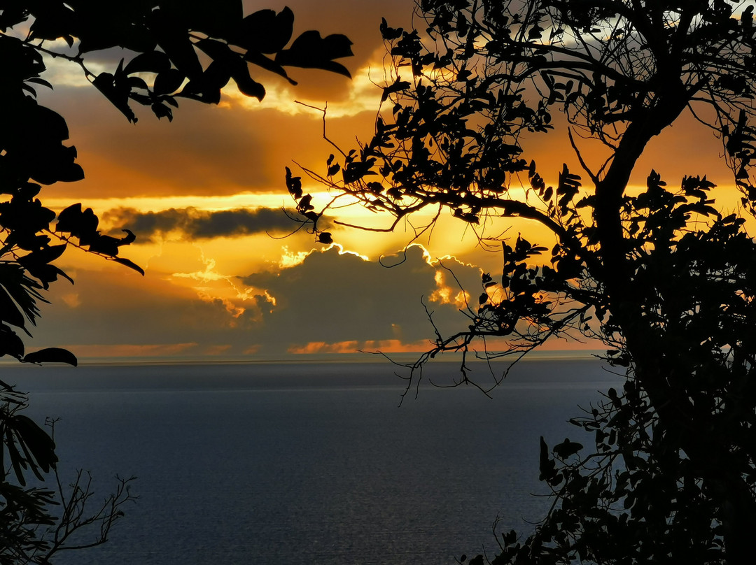 Apo Island View Deck景点图片