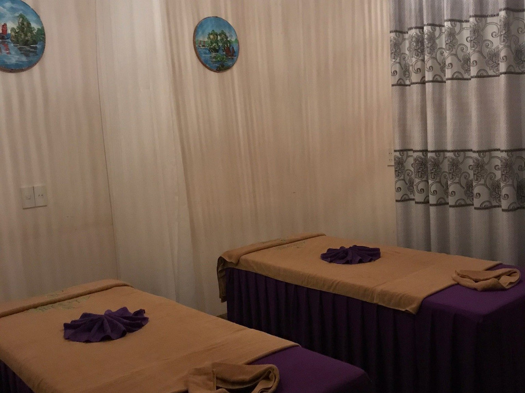 Lepont Wellness Spa景点图片