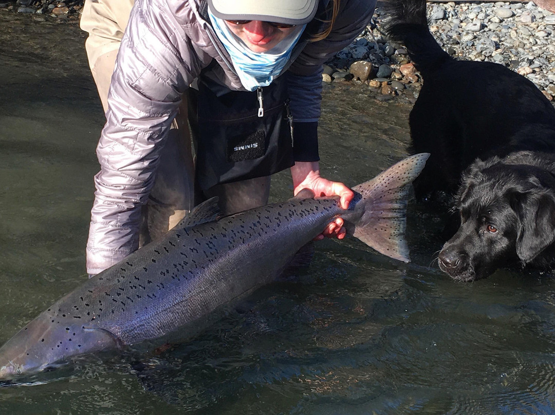 ChasingTales Alaska-Kasilof必去景点