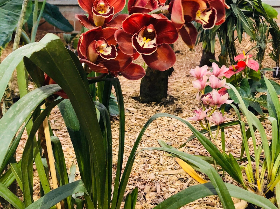 BiOri-欧瑞扎巴必去景点