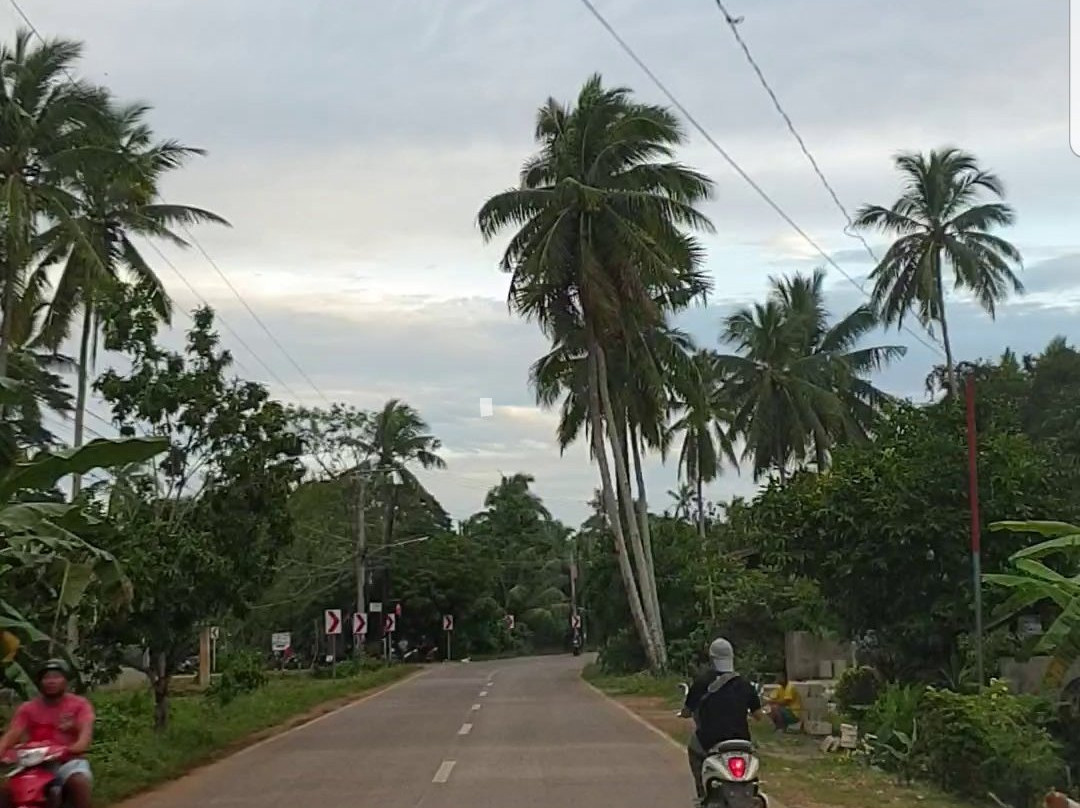 维娜尼特度假村主图