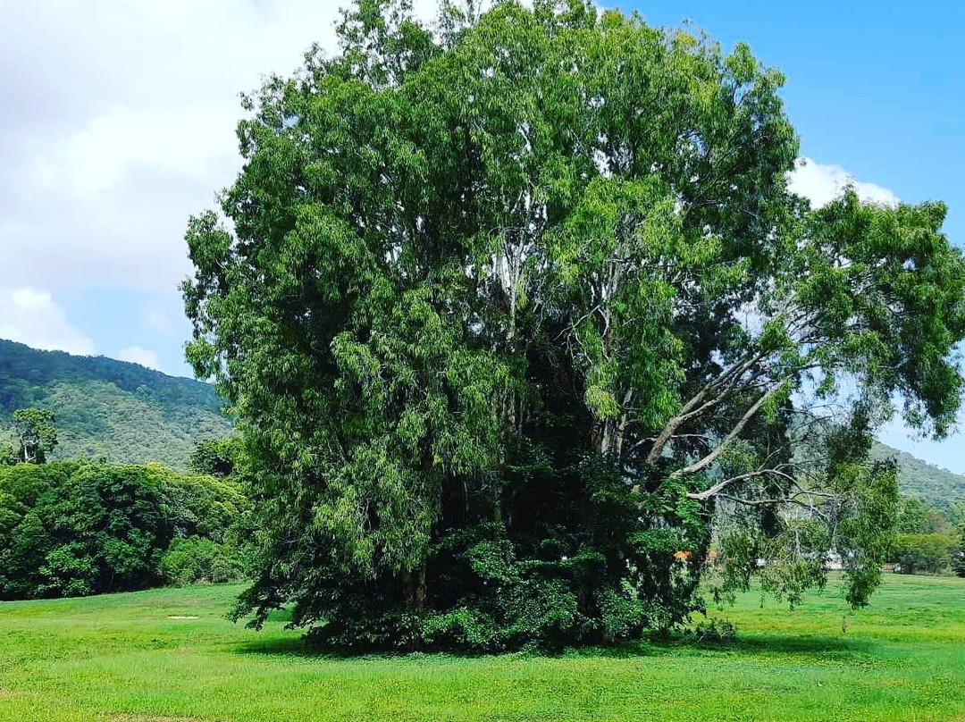Silver Crescent Park-棕榈湾必去景点