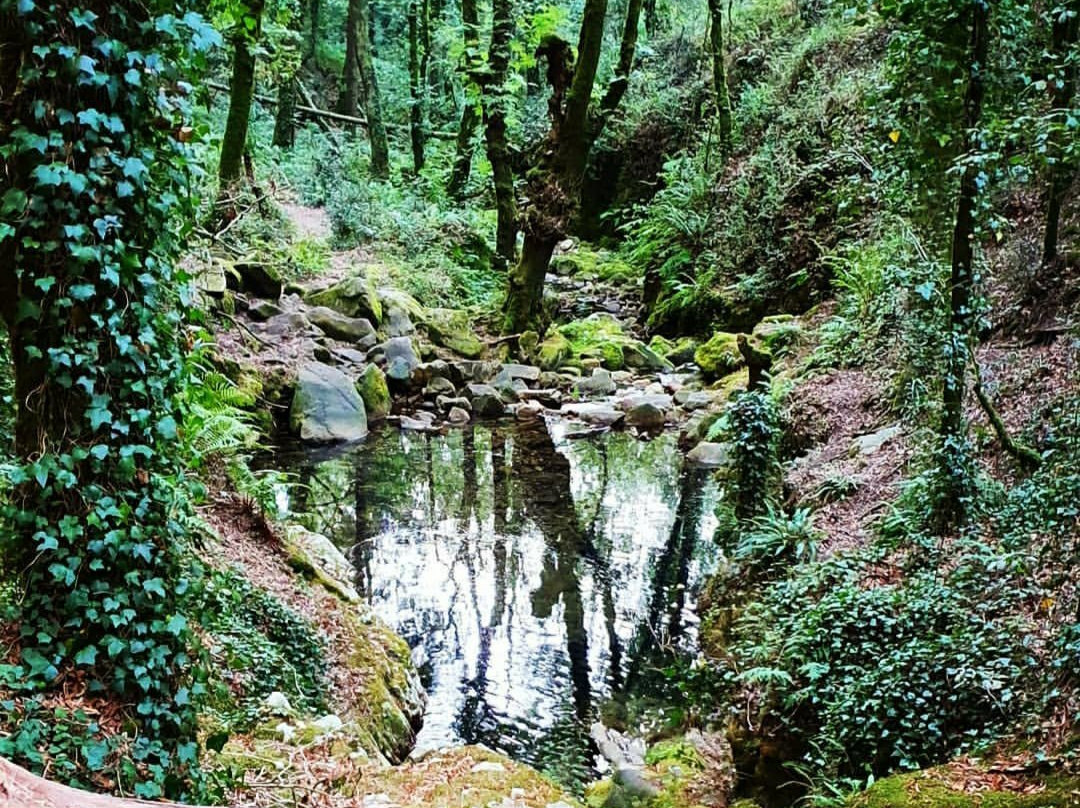 Ruta de Senderismo Rio Da Fraga景点图片
