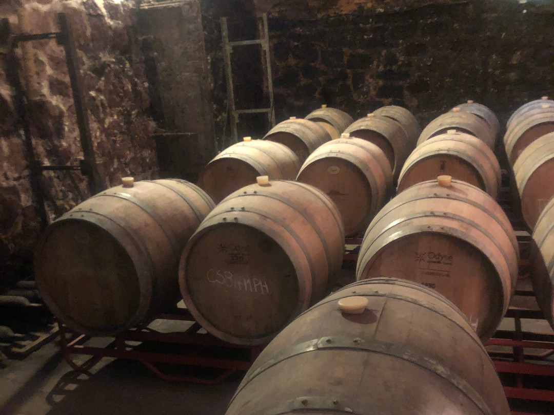 Establecimiento Juanico-Canelones必去景点