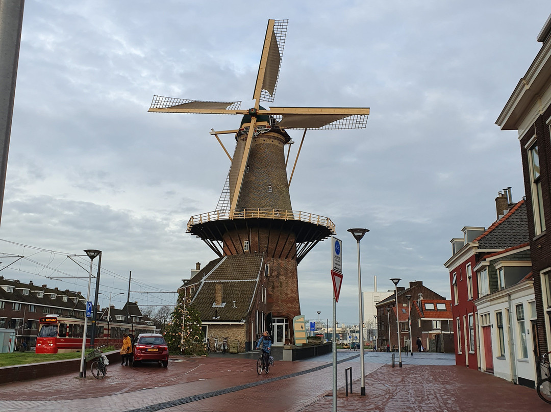 Molen De Roos-代尔夫特必去景点