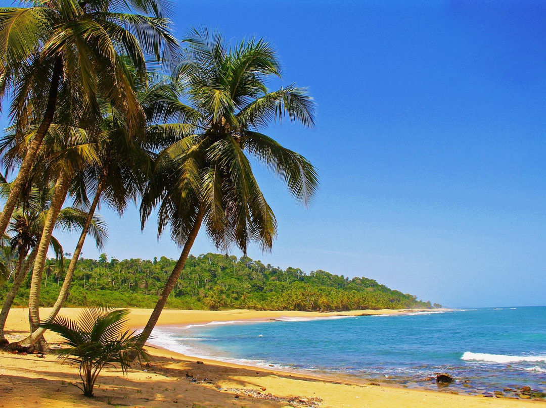 Kanaga Africa Tours-阿比让必去景点