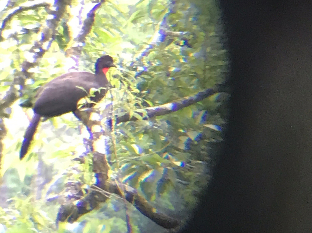 Naciente Cristalina Lodge