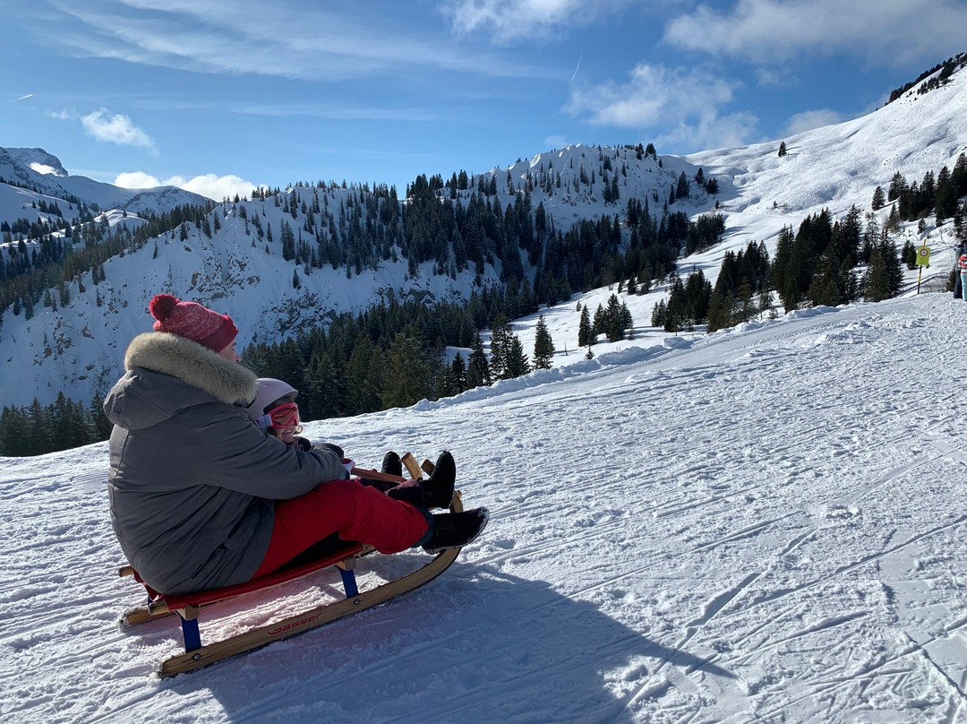 Piste de Luge des Diablerets-Les Diablerets必去景点